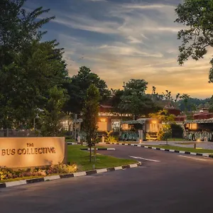 https://the-bus-collective.singapore-best-hotels.net